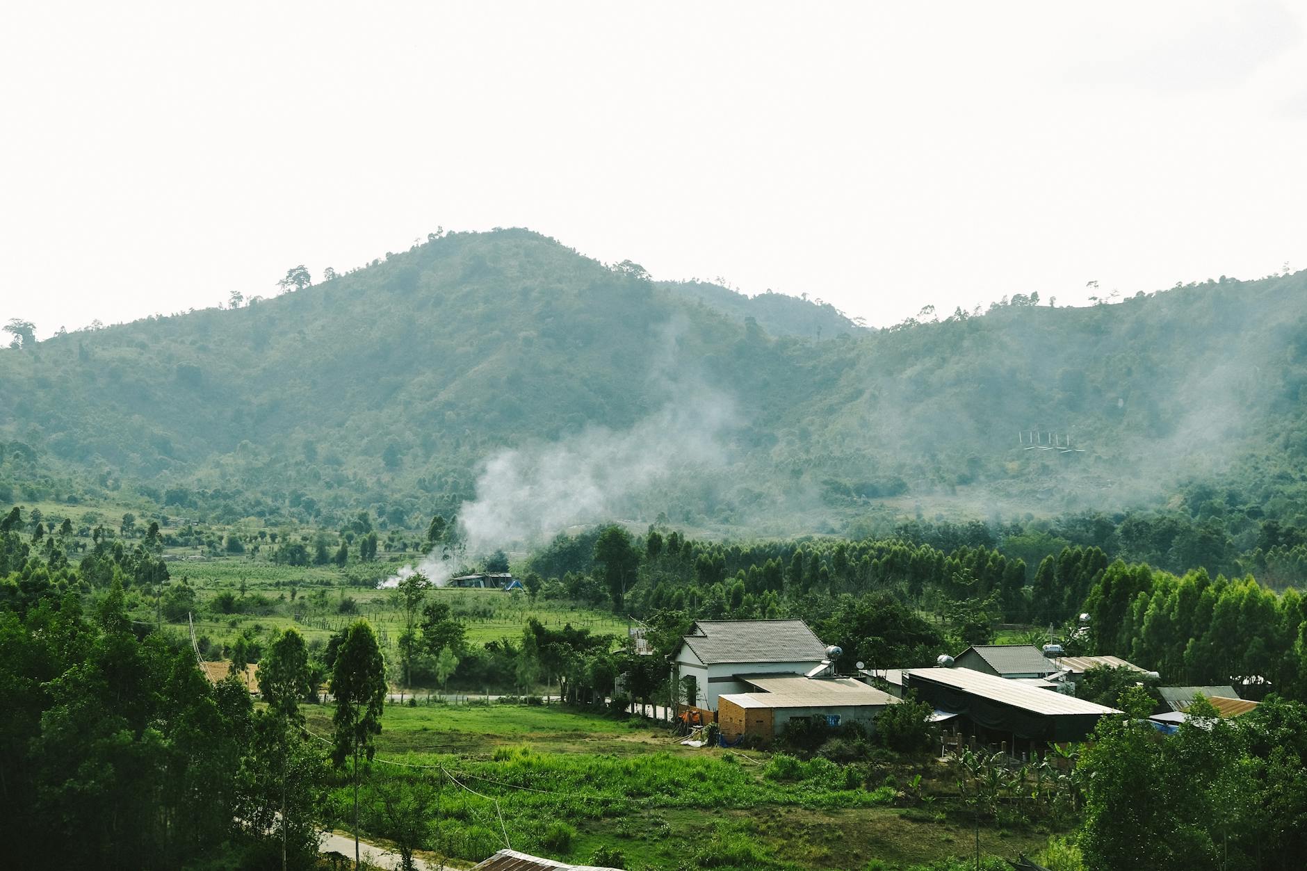 photo of houses near trees